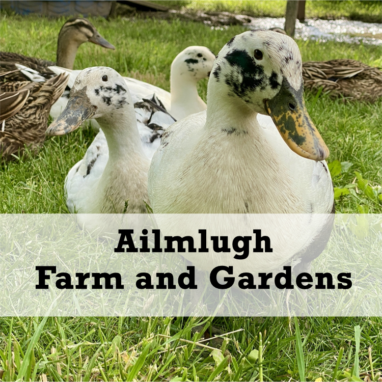 Ailmlugh Farm and Gardens